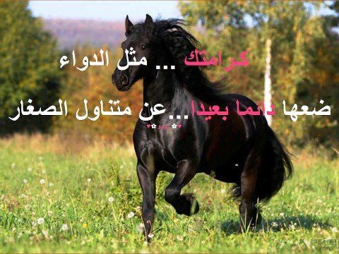 اجمل الصور المعبرة عن الكرامة 20161022 2472