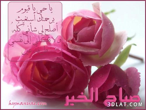 صور صباح الخير لاسم اميرة