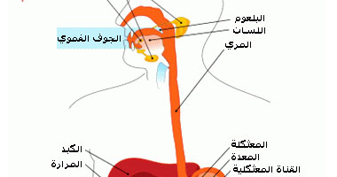 حل الارتجاع المريئي 20161004 2412