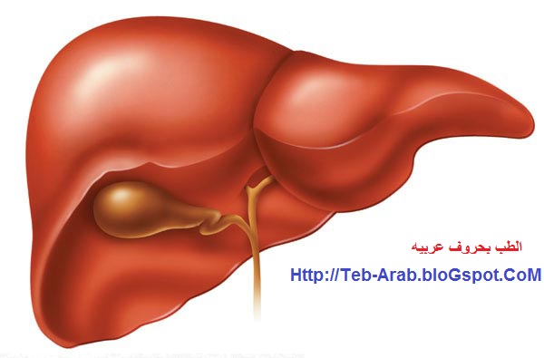 علاقه الكبد باللون الاصفر 20161011 999