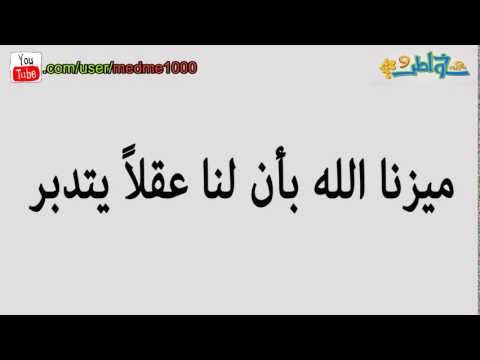 ميزنا الله بان لنا عقل يتدبر 20161024 2167