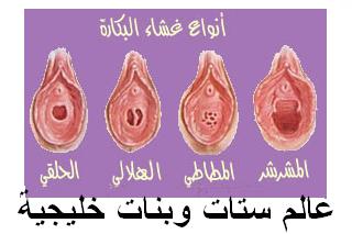 دم البكارة بالصور دم العذرية