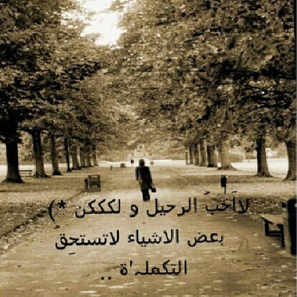 شعر وغزل جميل