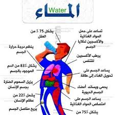 معلومة في صورة 20161009 670