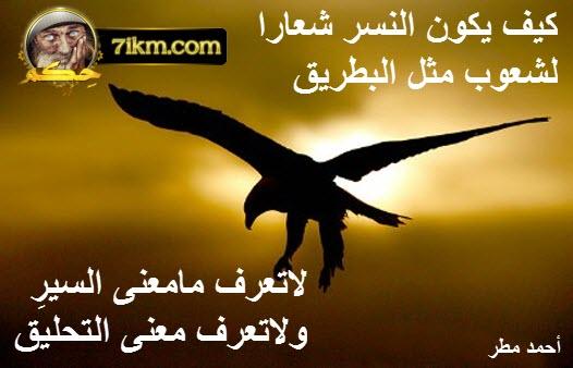 صور امثال وحكم يمنية