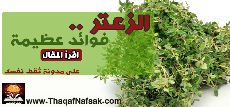 فوائد الزعتر الاخضر