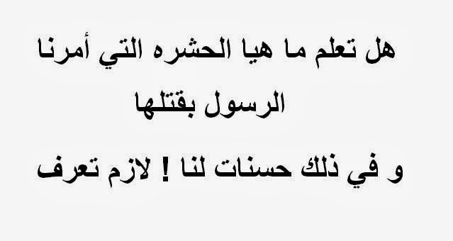 ما هو الوزغ - ولماذا امرنا الرسول بقتله - 20161023 636