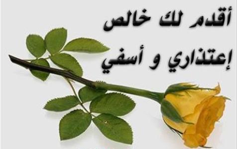 صور الاعتزار 20161024 395