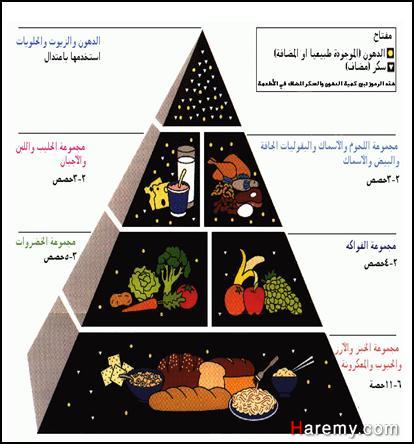 ما هى انواع البروتينات الموجودة فى الجسم - 20161013 683