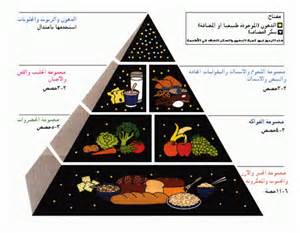 اهمية النشويات والدهون والبروتينات