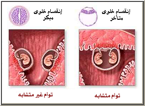 بحث عن التوائم