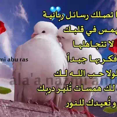 كلمات وصور مؤثره جدا 20161005 1924