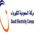 20161024 492 شعار شركة الكهرباء رانيا حمدي