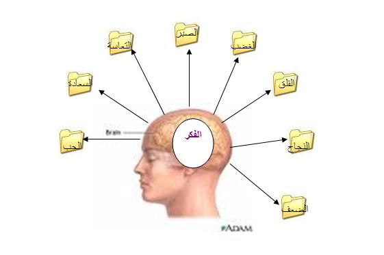 مما يتكون العقل 20161007 457