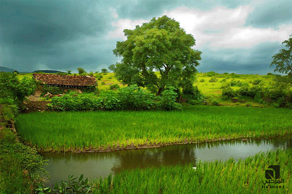 صور كبيرة مناظر طبيعية