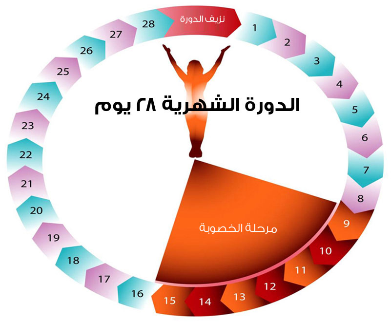 ما هي اسباب الام الحيض