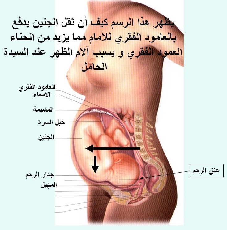 كيفية التغلب على الاحساس بالقئ اثناء الحمل