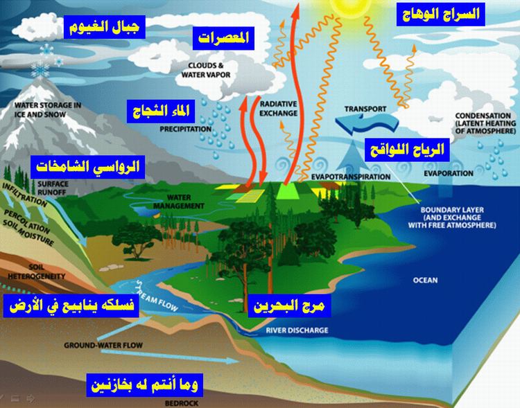 دورة الماء و فوائدها