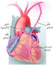 عملية تسريح شرايين القلب