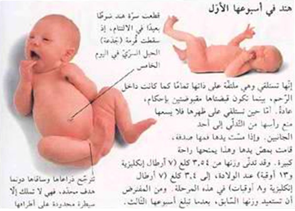 معلومات عن الاطفال حديثي الولادة