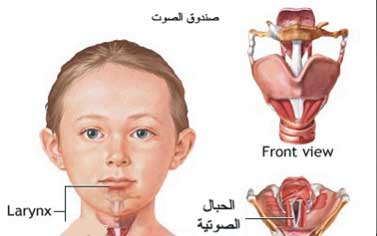 اسباب بحه الصوت