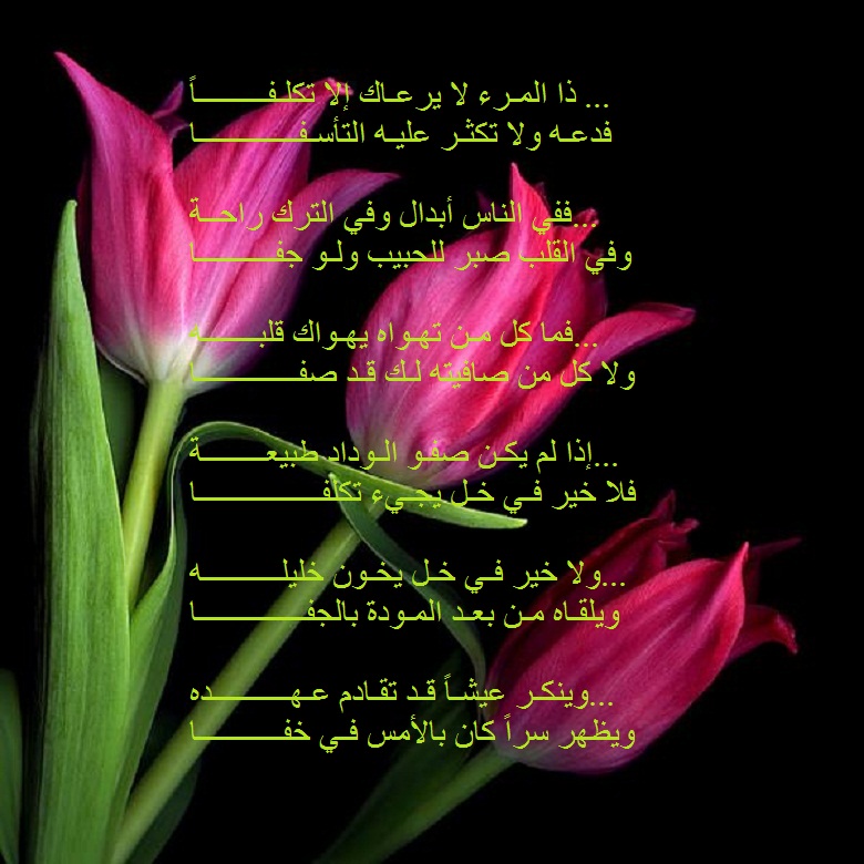 شعر عن الصداقة قصير