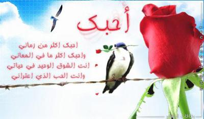 اشعار حب وعشق