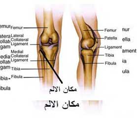 كيفف علاج ماء ركبة