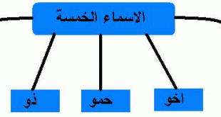 ما هي الاسماء الخمسة