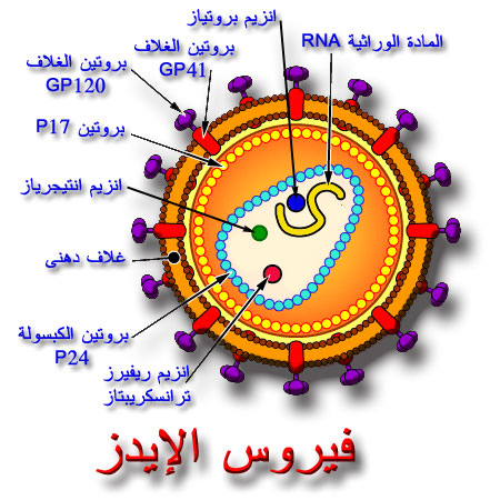 بحث كامل و قيم عن الايدز