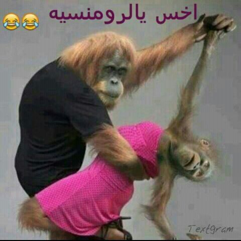 صور مضحكةللفيس بوك