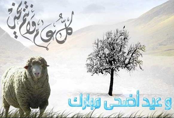 تهنئة عيد الاضحى بالمغرب